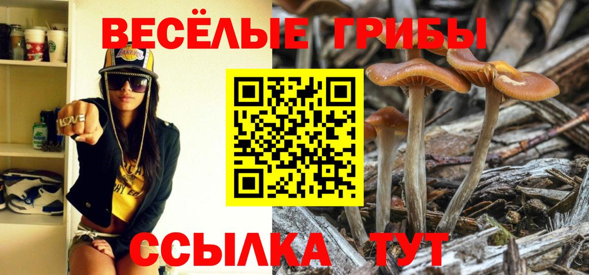 Богородицк  Галлюциногенные грибы ЛСД  Вход с VPN 
